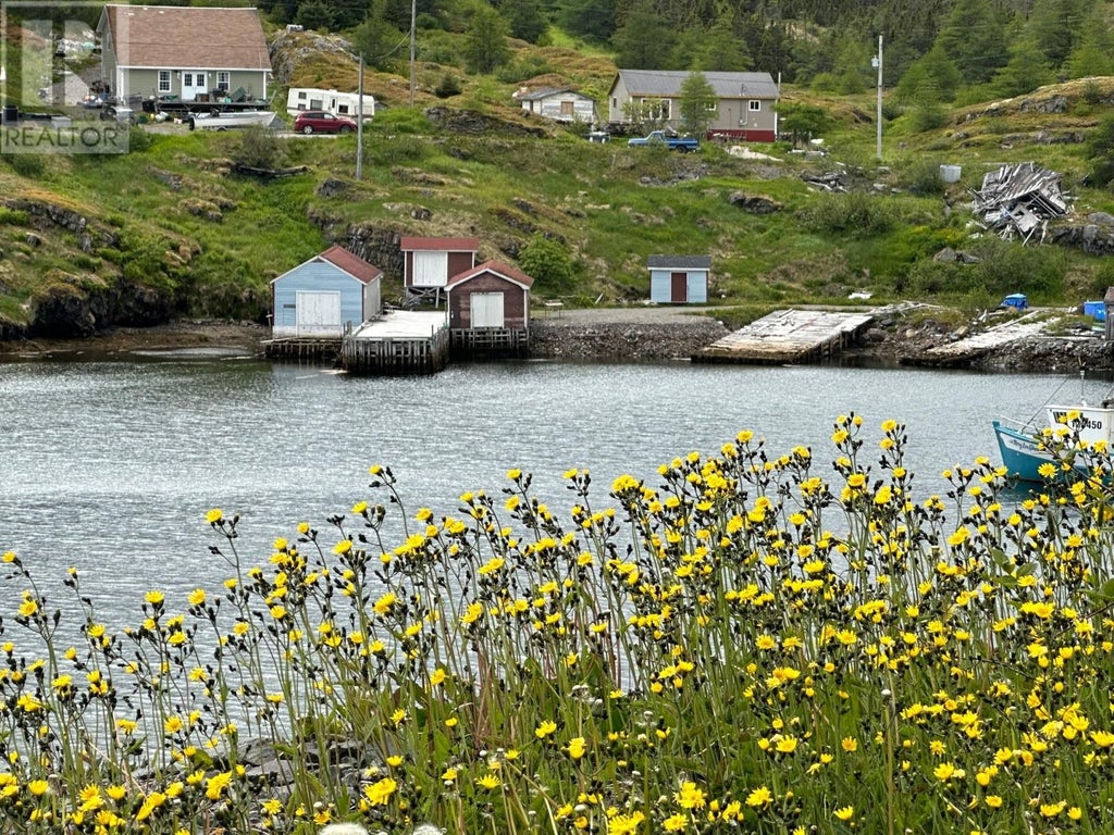 0 Main Road, Old Bonaventure