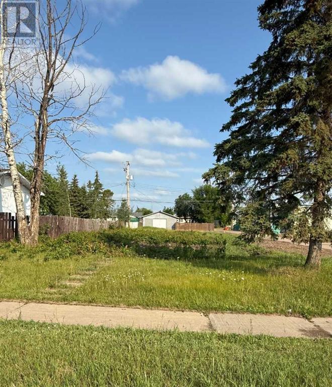 10006 99 Street, High Level