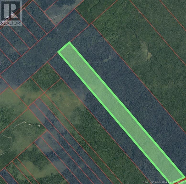 Photo of Listing #NB122721