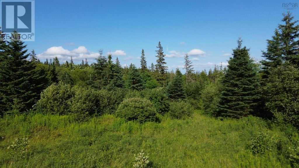 Black River Road, Grande Anse