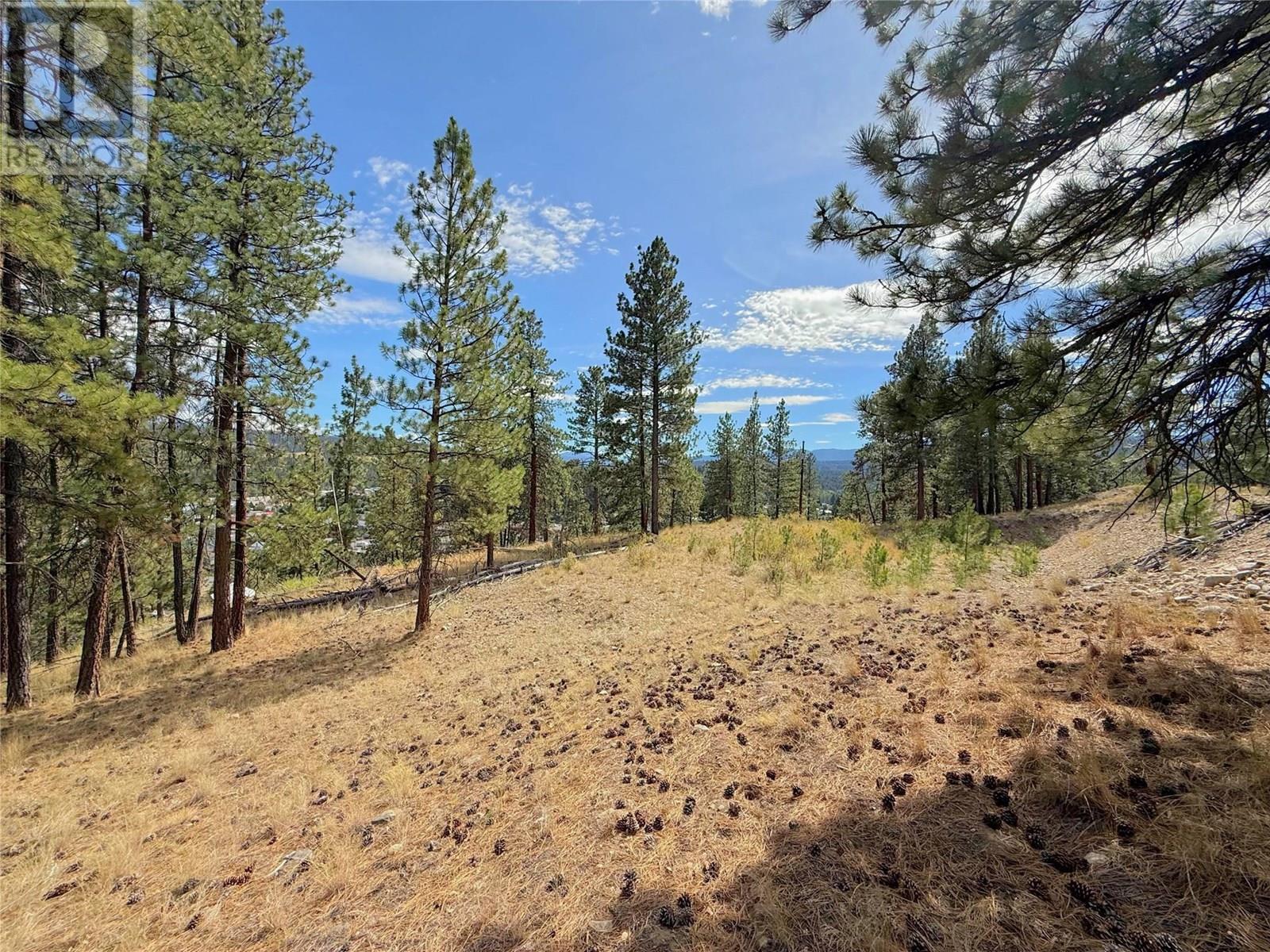 101 Jacobson Road. Princeton, British Columbia