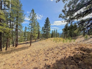 101 Jacobson Road. Princeton, British Columbia