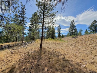 101 Jacobson Road. Princeton, British Columbia