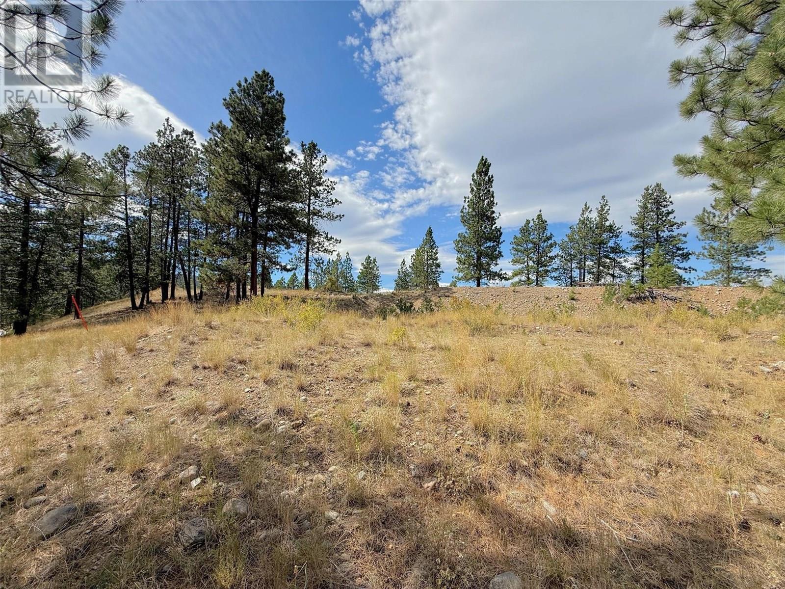 101 Jacobson Road. Princeton, British Columbia