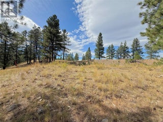 101 Jacobson Road. Princeton, British Columbia