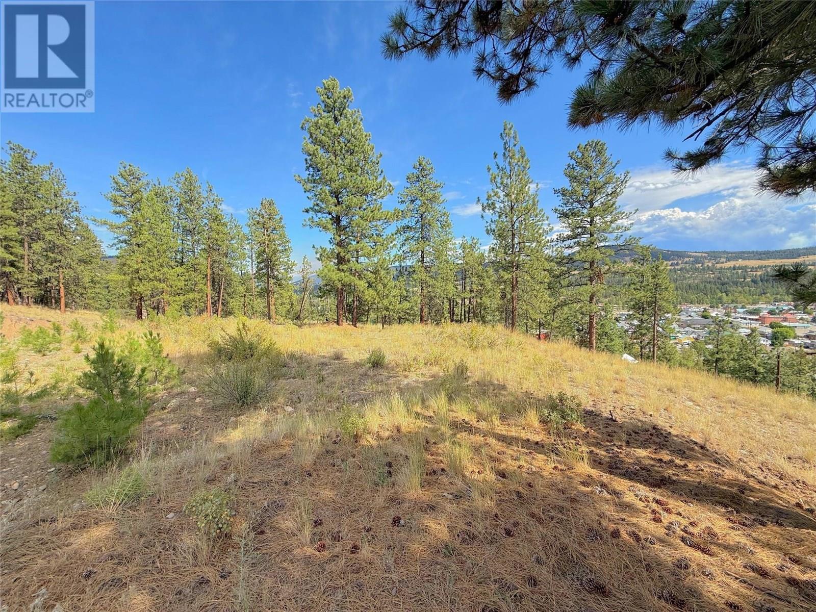 101 Jacobson Road. Princeton, British Columbia