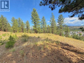 101 Jacobson Road. Princeton, British Columbia