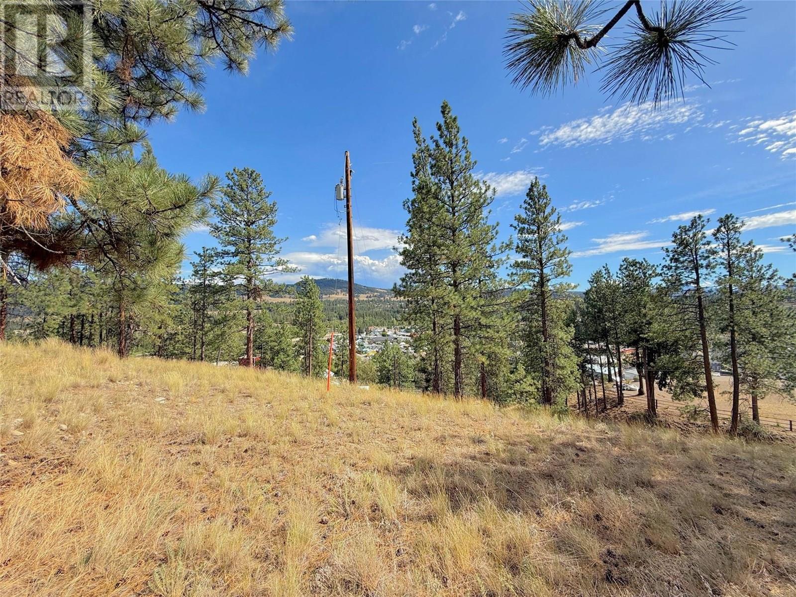 101 Jacobson Road. Princeton, British Columbia