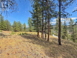 101 Jacobson Road. Princeton, British Columbia