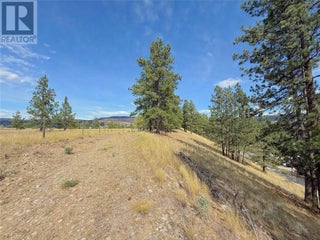 101 Jacobson Road. Princeton, British Columbia