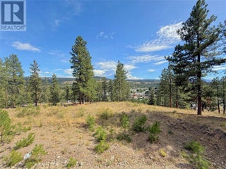 101 Jacobson Road. Princeton, British Columbia