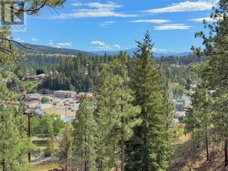 101 Jacobson Road. Princeton, British Columbia