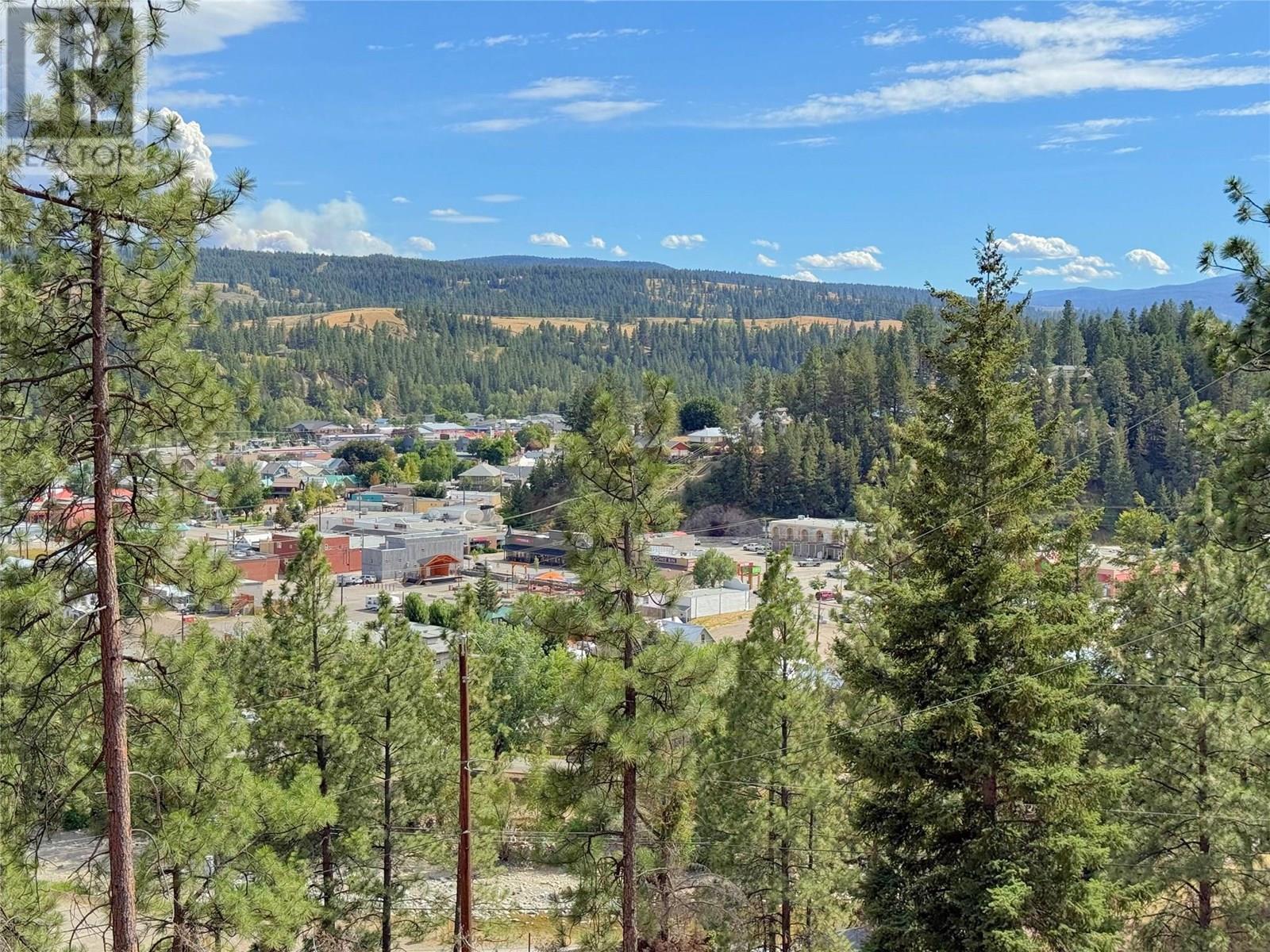 101 Jacobson Road. Princeton, British Columbia