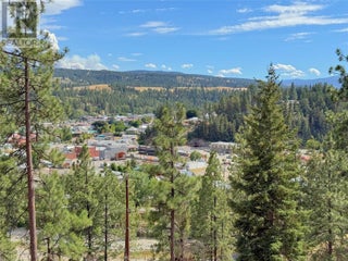 101 Jacobson Road. Princeton, British Columbia