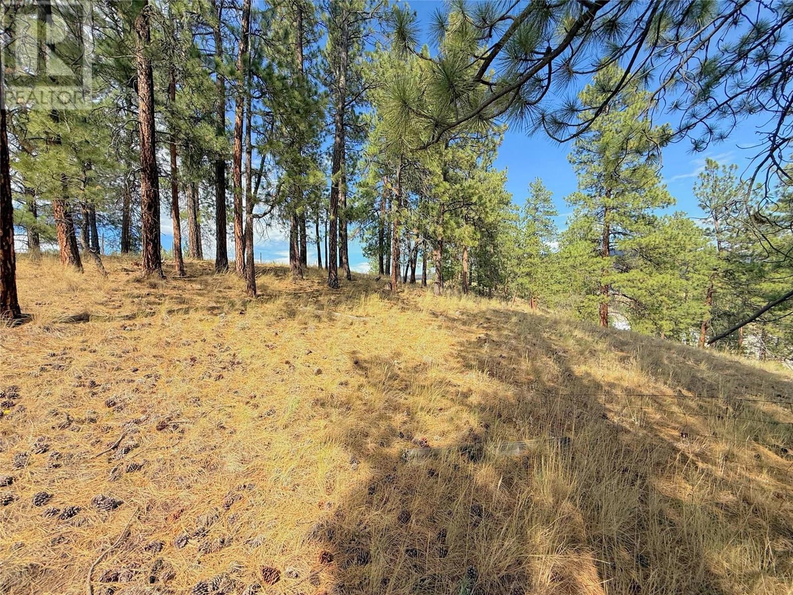 101 Jacobson Road. Princeton, British Columbia