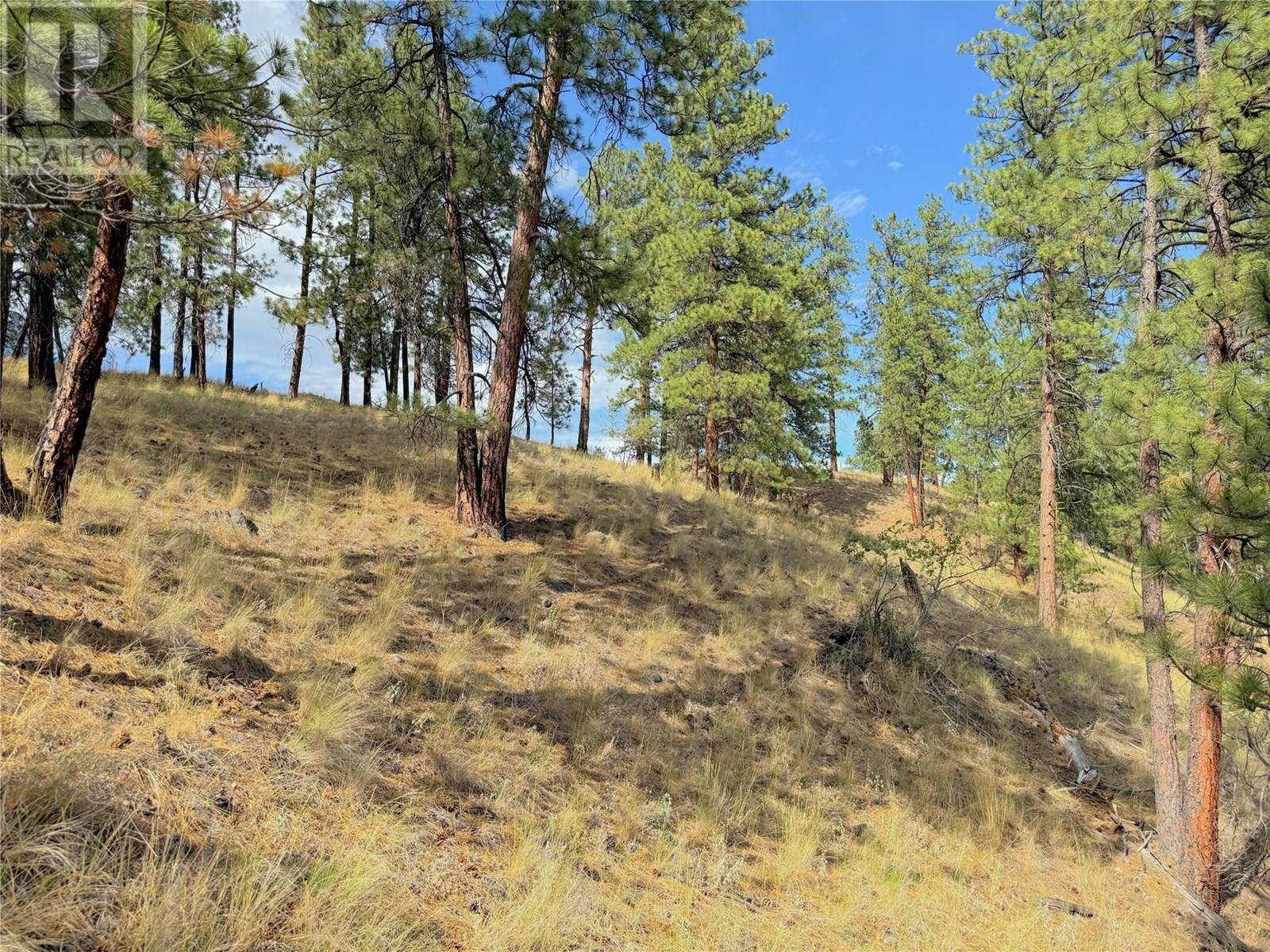 101 Jacobson Road. Princeton, British Columbia