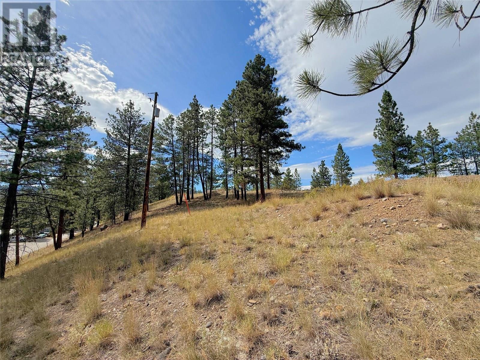 101 Jacobson Road. Princeton, British Columbia