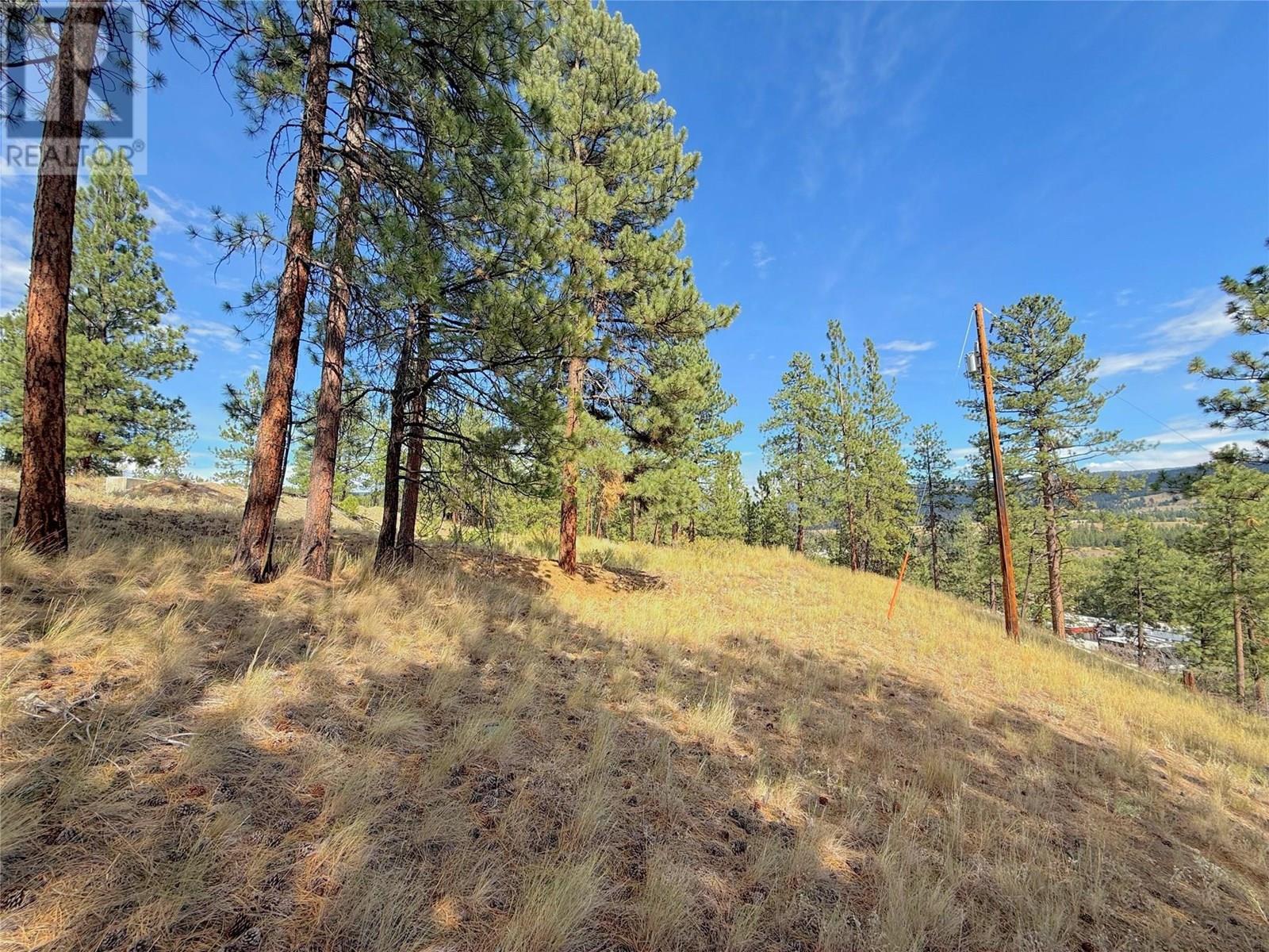 101 Jacobson Road. Princeton, British Columbia