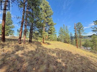 101 Jacobson Road. Princeton, British Columbia