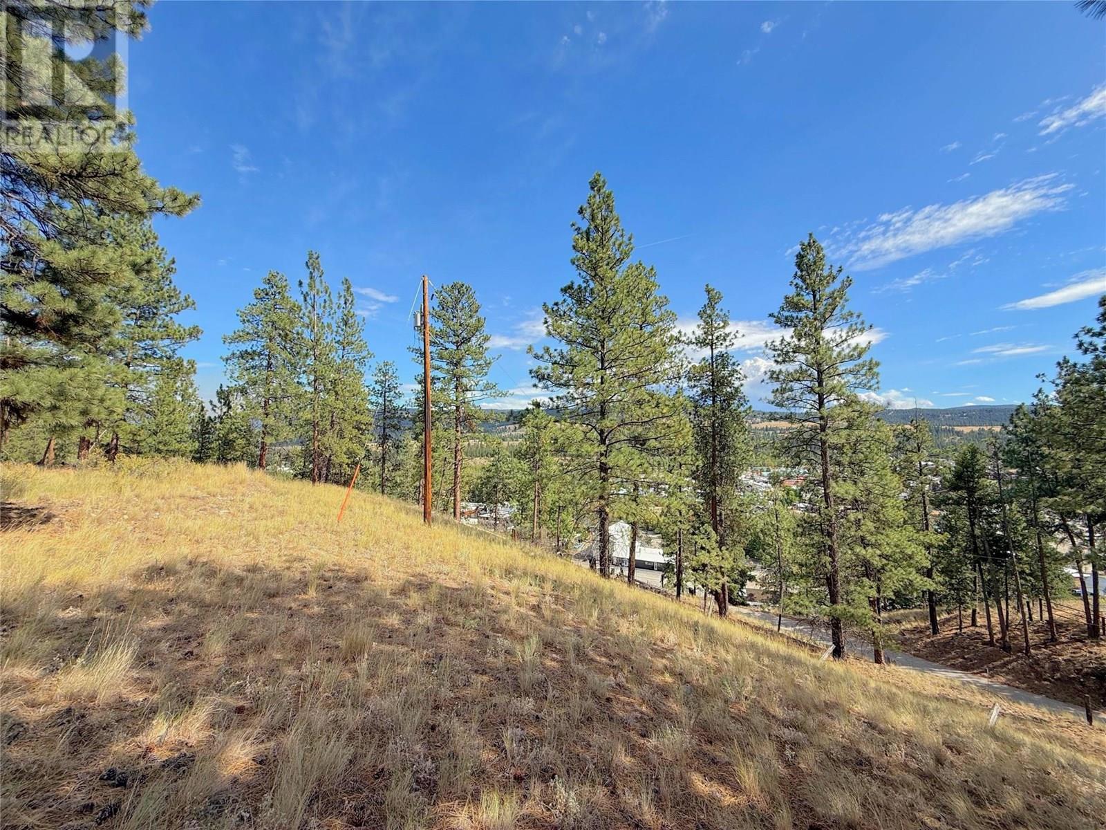 101 Jacobson Road. Princeton, British Columbia