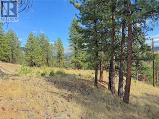 101 Jacobson Road. Princeton, British Columbia