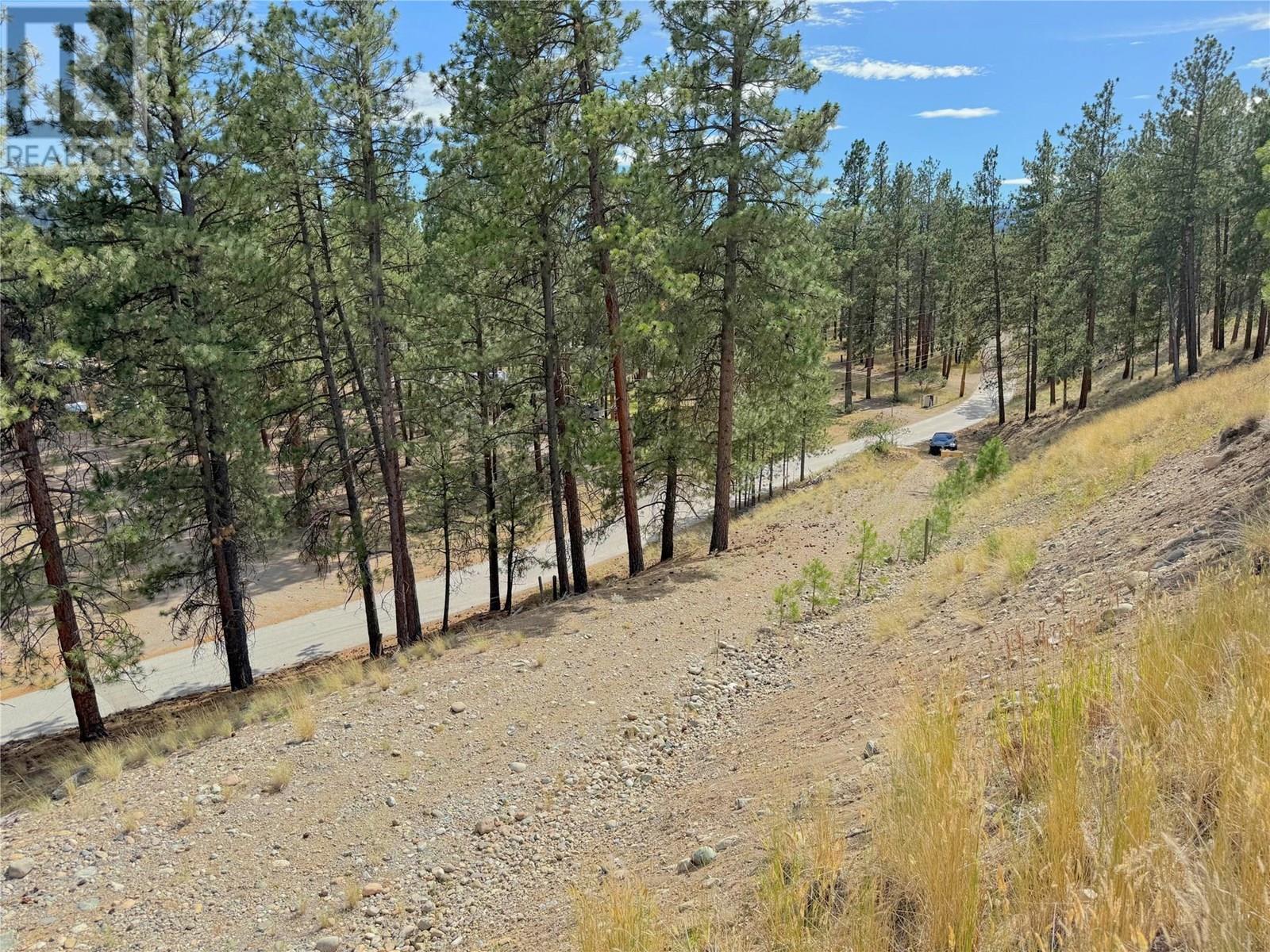 101 Jacobson Road. Princeton, British Columbia