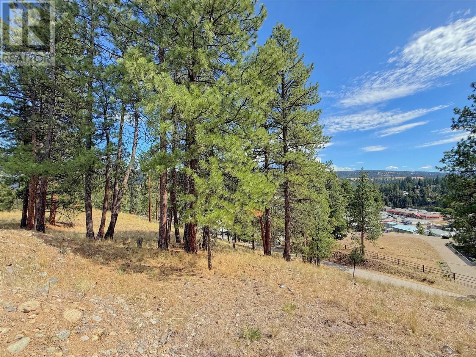 101 Jacobson Road. Princeton, British Columbia