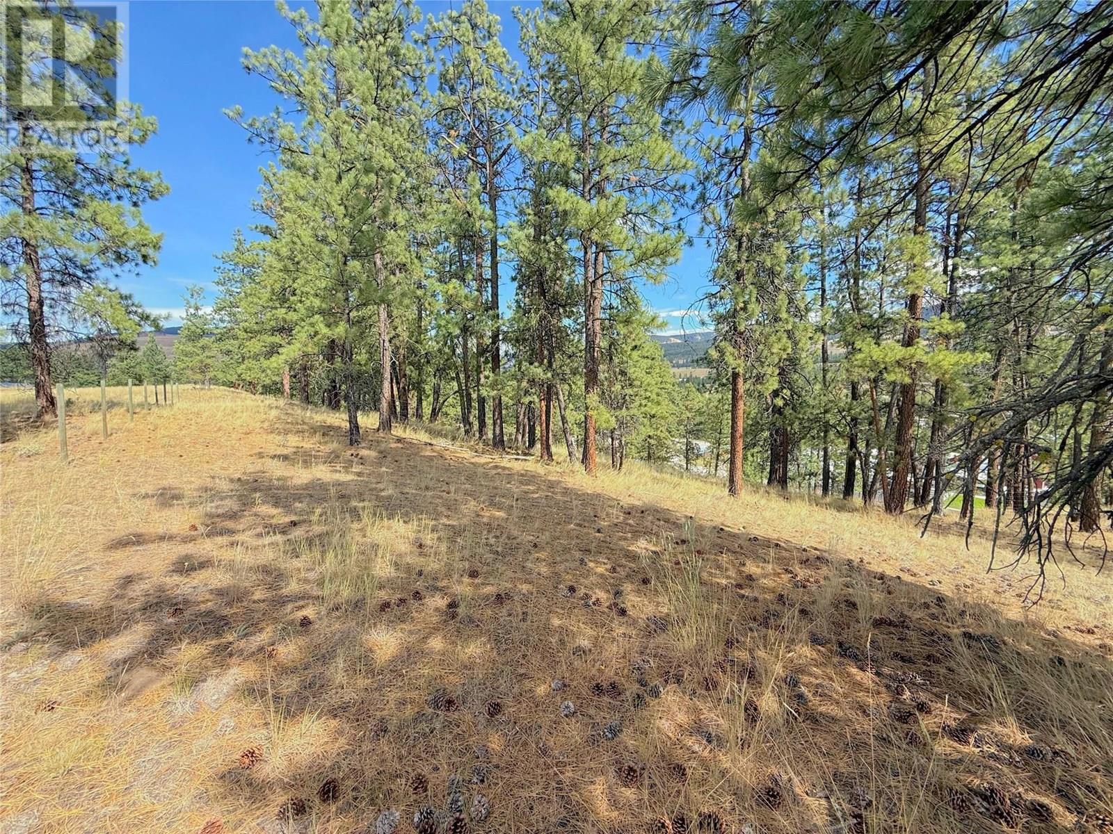 101 Jacobson Road. Princeton, British Columbia