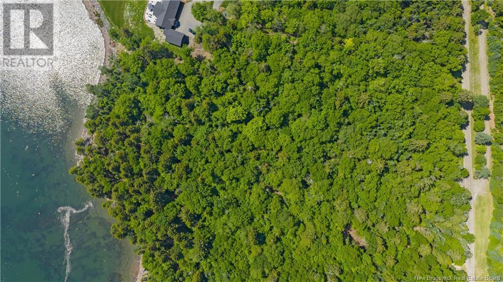 Photo of Listing #NB122810