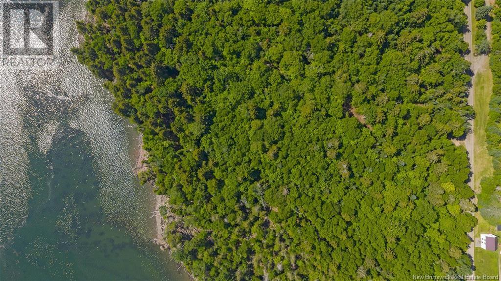 Photo of Listing #NB122809