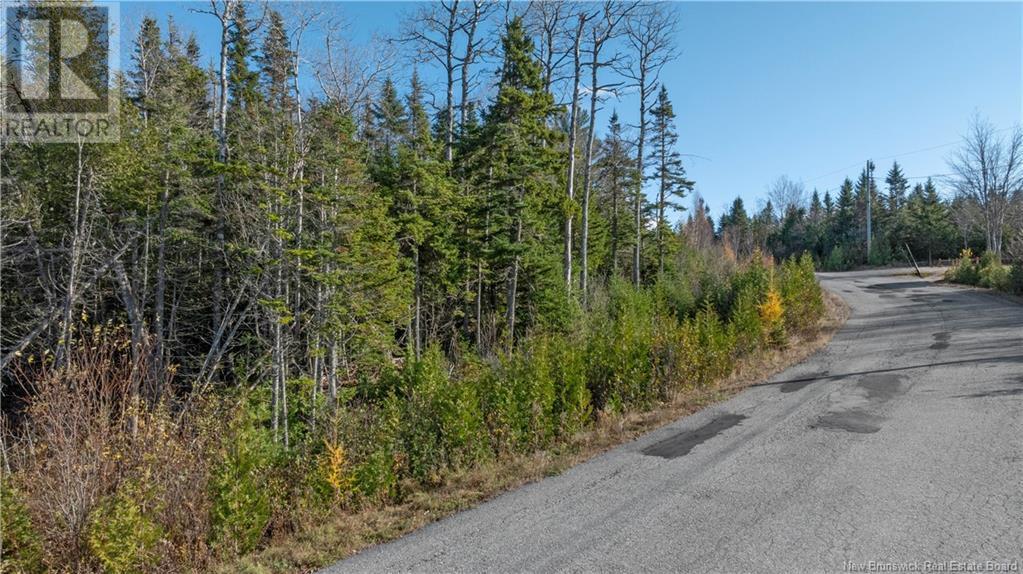 Photo of Listing #NB123127