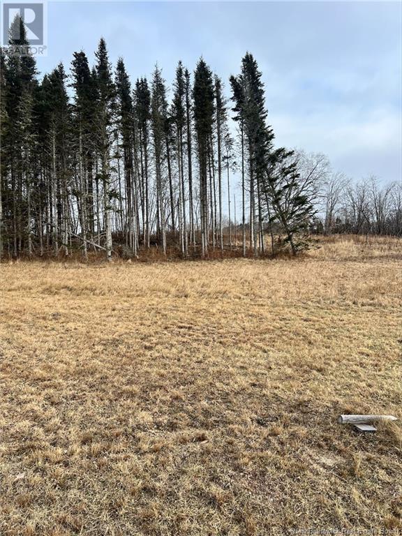 Photo of Listing #NB123139