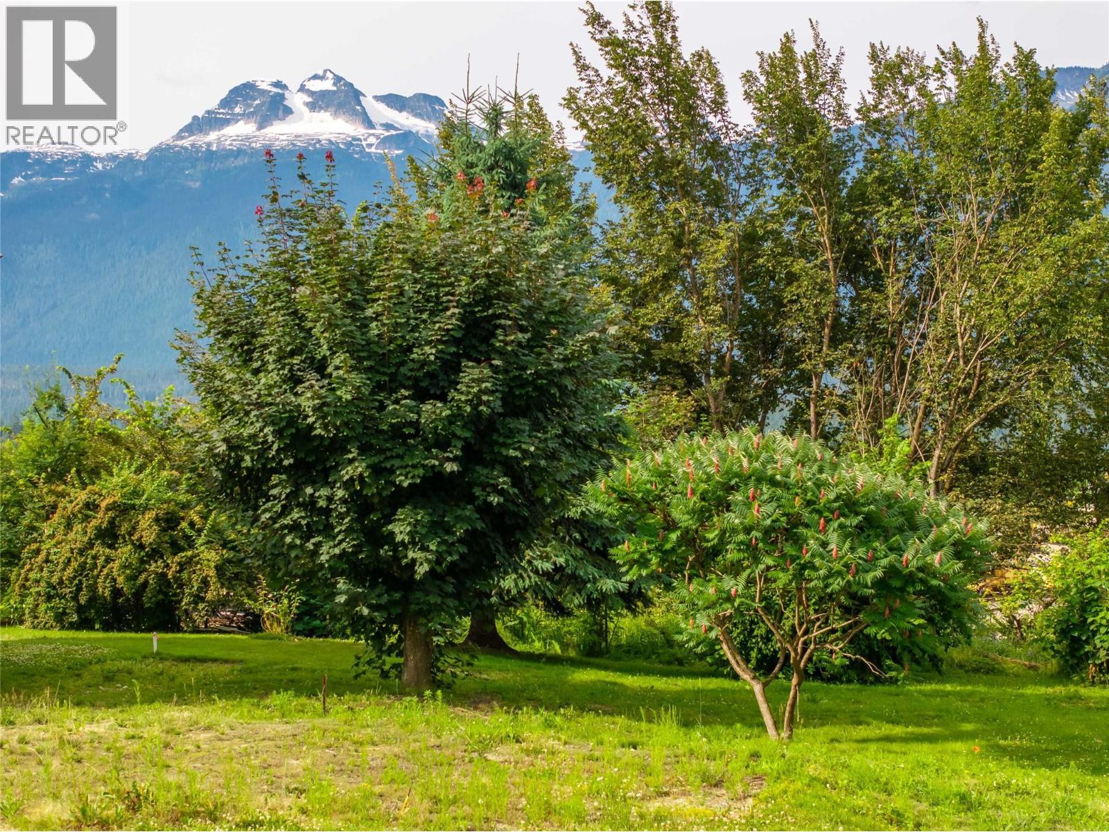 157 Track Street E. Revelstoke, British Columbia