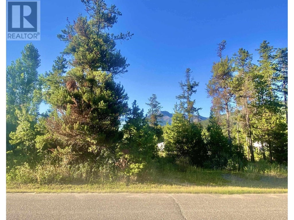 1060 6th Avenue, Valemount