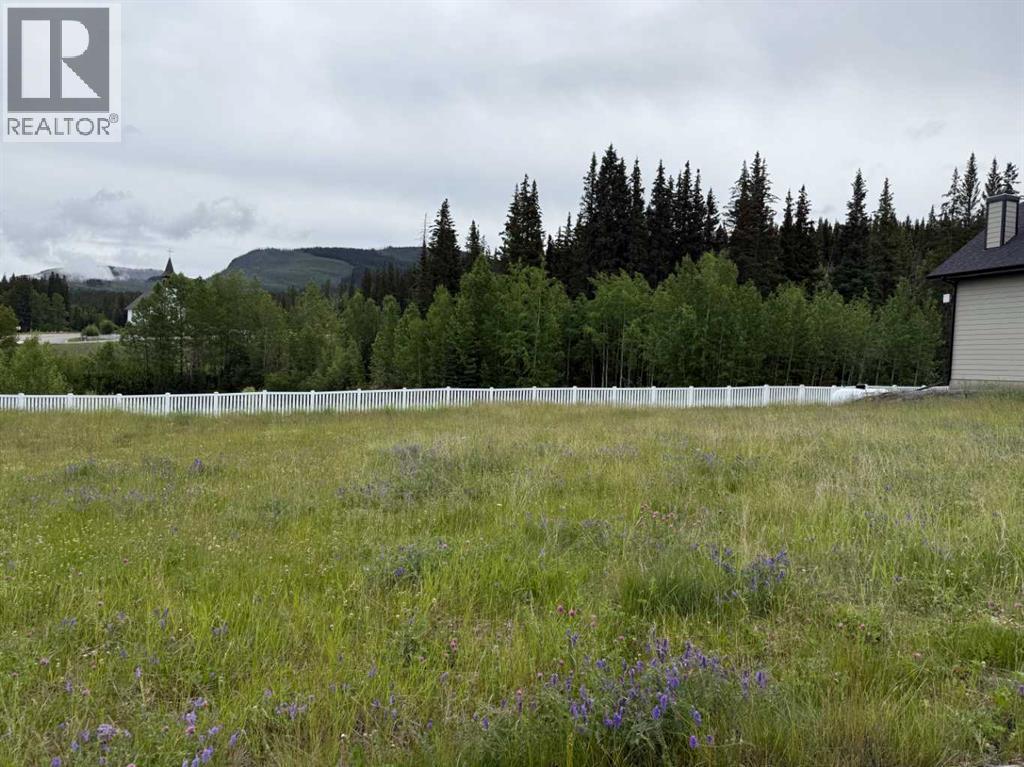 343 Elizabeth Avenue, Nordegg