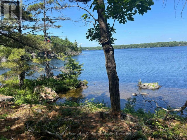 Lot 1 Bala Park Island, Muskoka Lakes (medora)