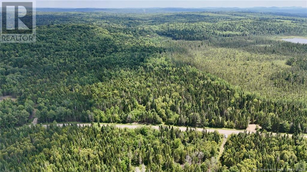 Photo of Listing #NB123251