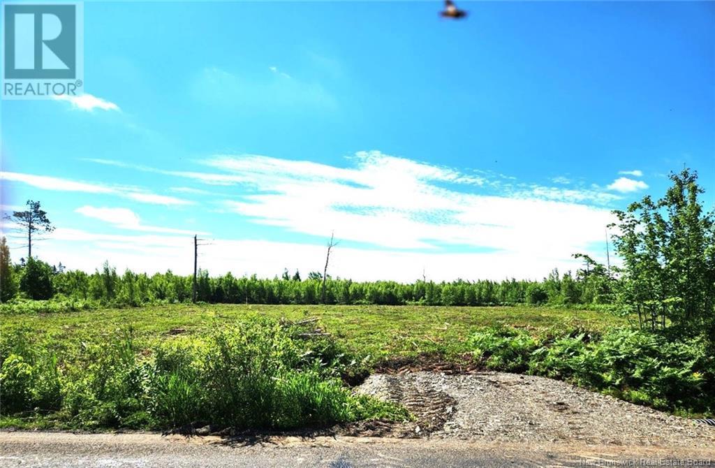 Photo of Listing #NB123368