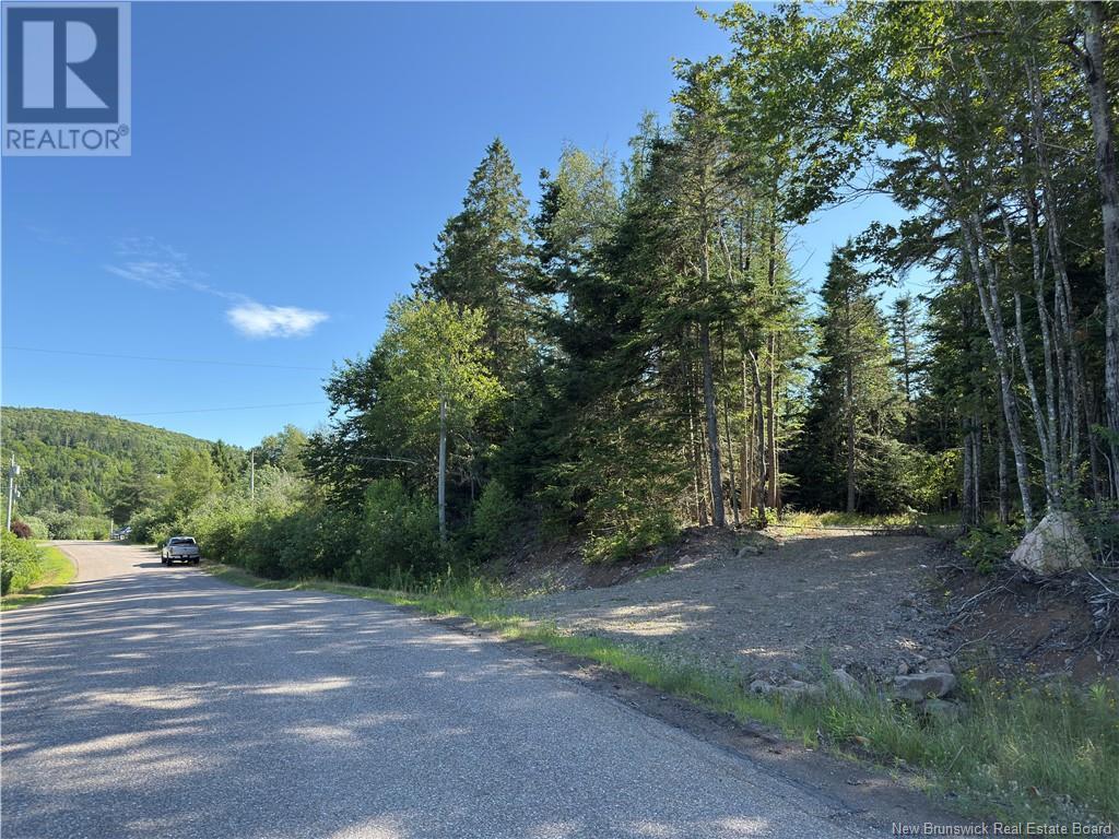 Photo of Listing #NB123261