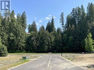 Sl 3 6-1445 Illecillewaet Road. Revelstoke, British Columbia