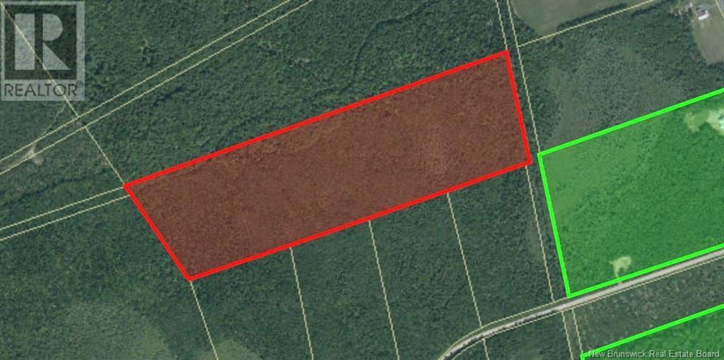 Photo of Listing #NB123435