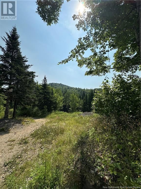 Photo of Listing #NB123594