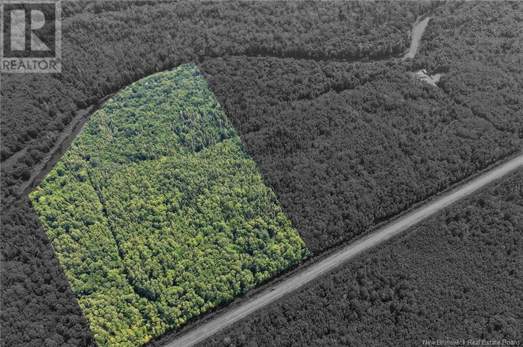 Photo of Listing #NB123629