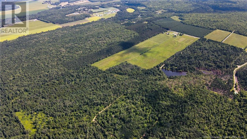 Photo of Listing #NB123690