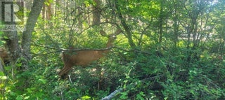 7468 Dixon Dam Road. Vernon, British Columbia