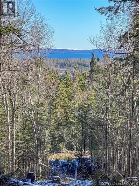 Photo of Listing #NB123802