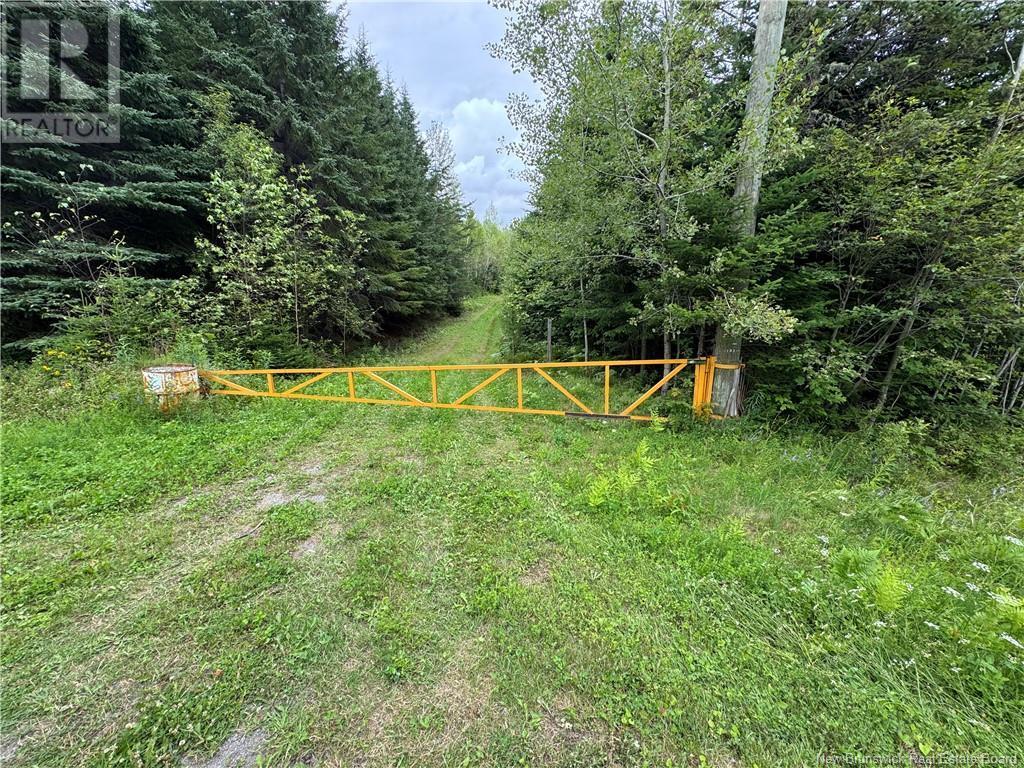 Photo of Listing #NB123835