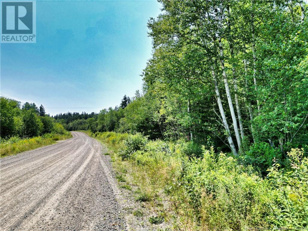 Photo of Listing #NB123978