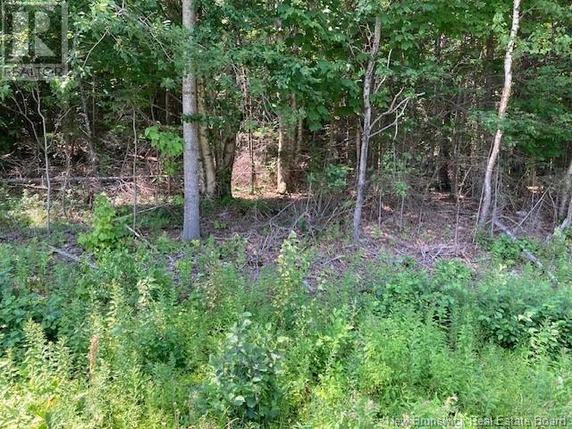 Photo of Listing #NB124031