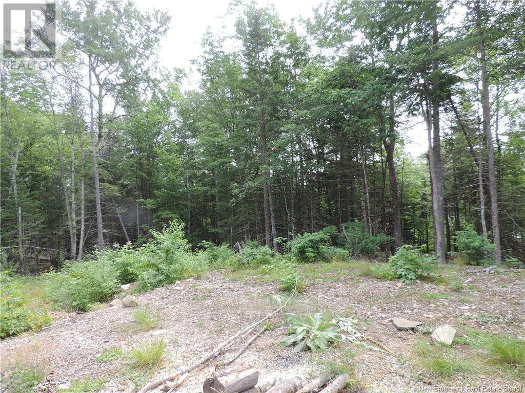 Photo of Listing #NB124048